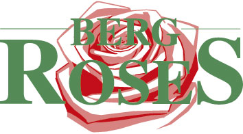 Van Den Berg Roses