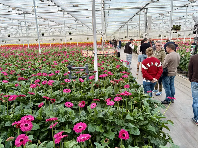 Geslaagde ALV met Winter‑BBQ bij Gerbera United 8
